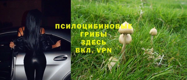 таблы Дмитриев