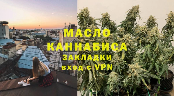 гидра Краснослободск